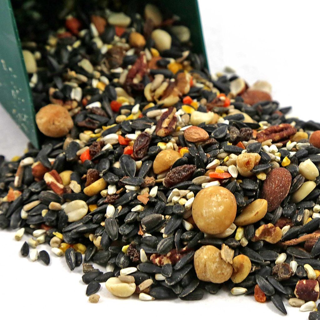 bird-seed-foods-chirp-nature-center