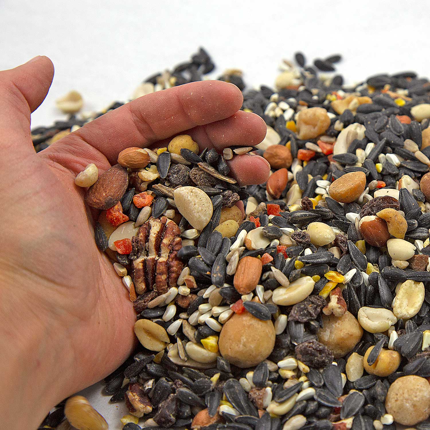 Wild Bird Seed Mix: Attract Vibrant Wildlife To Your Backyard Haven