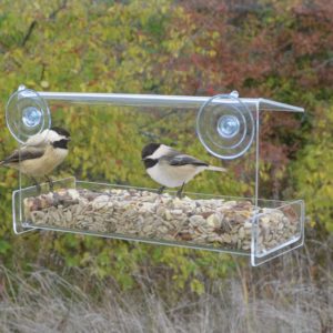 Jewel Box Window Hummingbird Feeder Chirp Nature Center