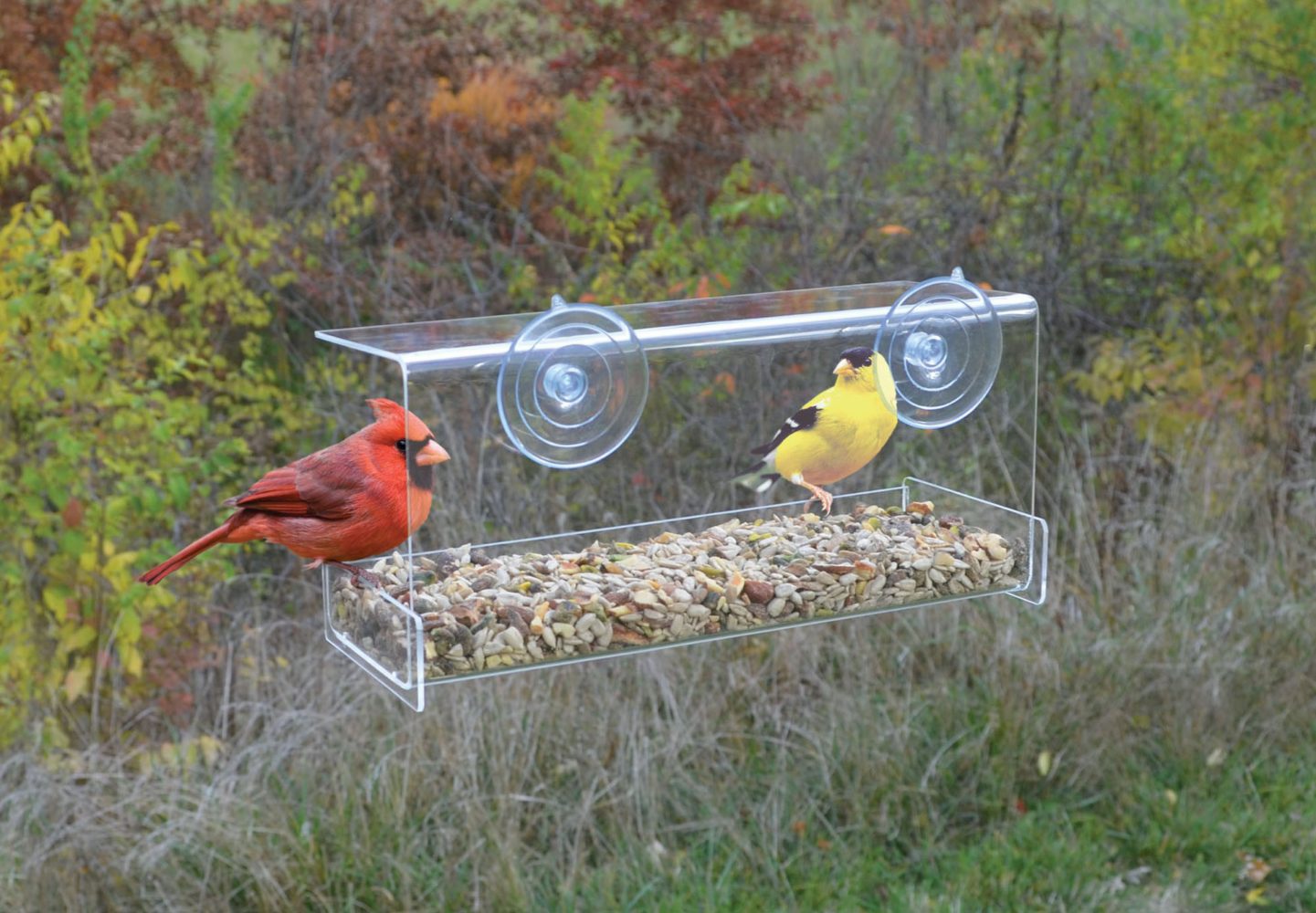 Clear View Deluxe Open Diner Window Feeder Chirp Nature Center