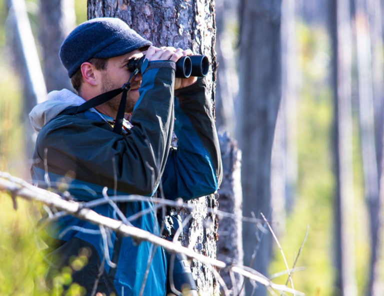 Picking the Perfect Birding Binoculars & Scopes Chirp Nature Center