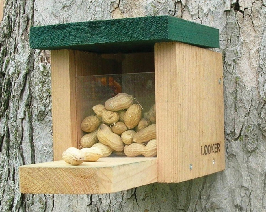 The Squirrel Feeder Snack Box mounted on a tree