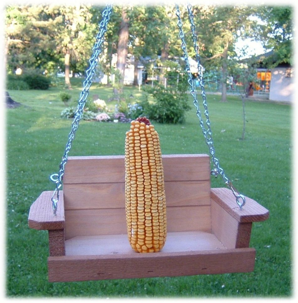 A corn cob mounted on the Squirrel Feeder Swing