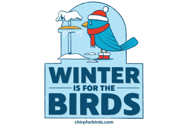 winter is for the birds