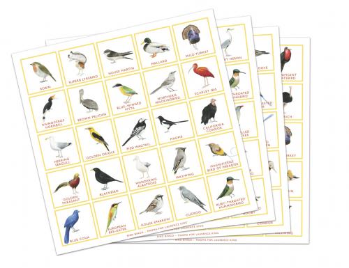 Bird Bingo game cards