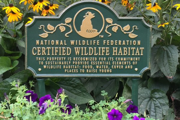 NWF's Certified Wildlife Habitat sign in a flourishing yard.