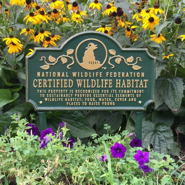 How to Turn Your Garden or Yard into a Certified Wildlife Habitat ...