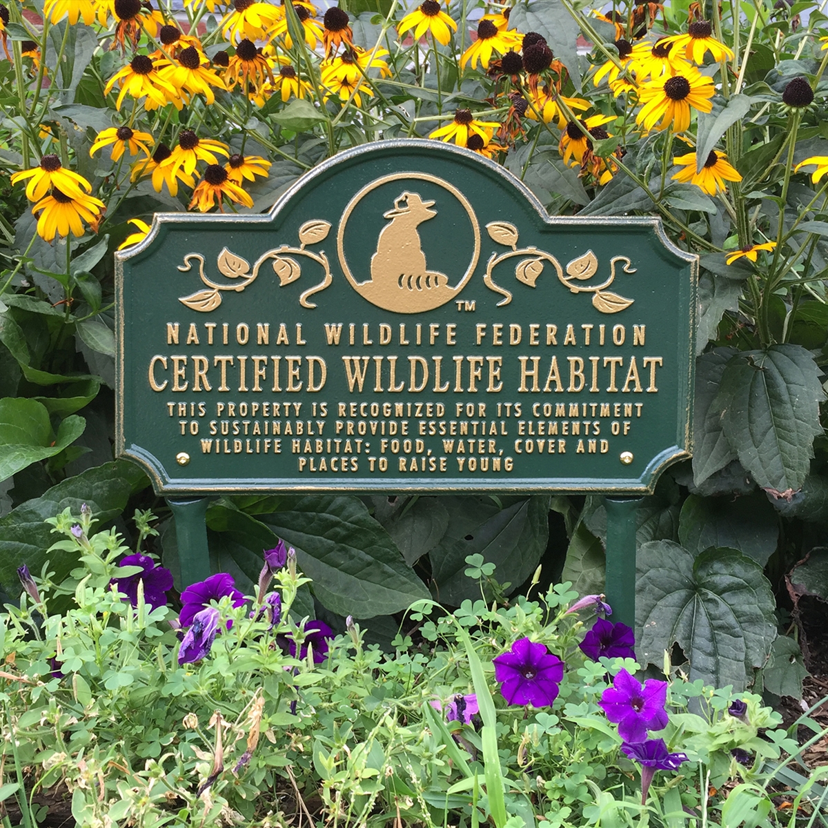 How To Turn Your Garden Or Yard Into A Certified Wildlife Habitat 