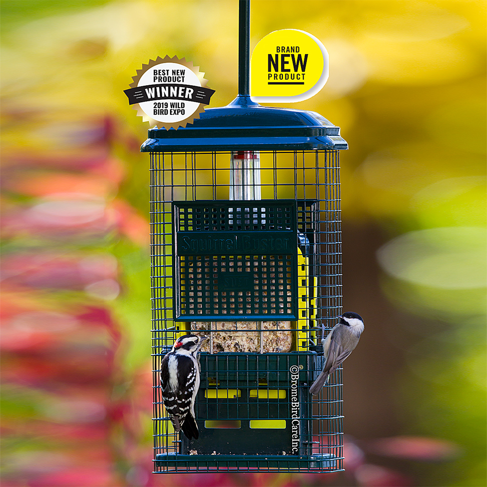 squirrel buster bird feeder with stand