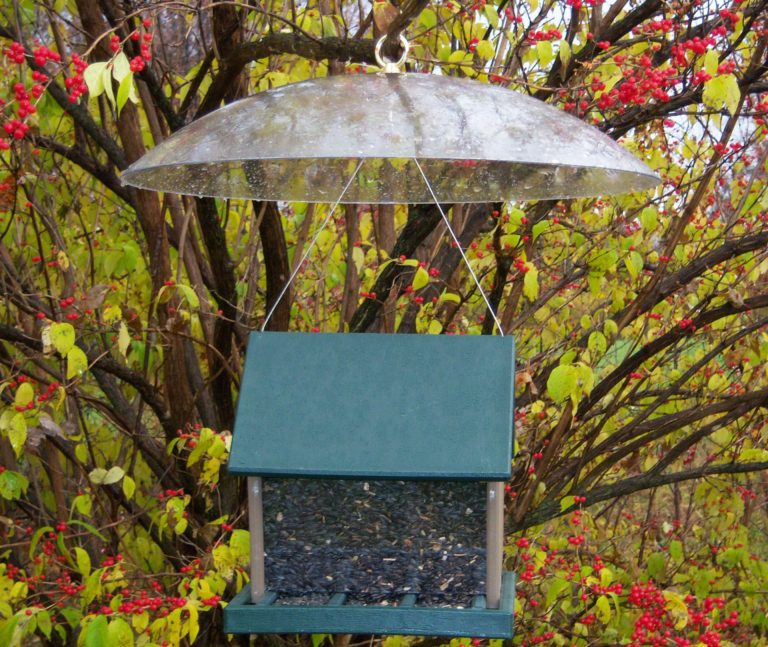A hanging bird feeder with a baffle on top of it. 
