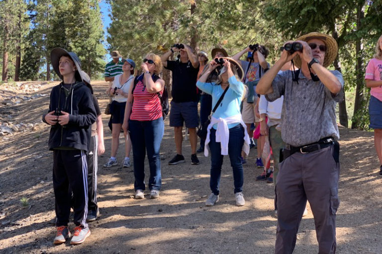 A group of beginning and experienced birders gather in the wilderness to watch and learn about birds.