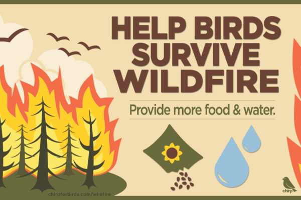 Help Birds Survive Wildfire - Chirp