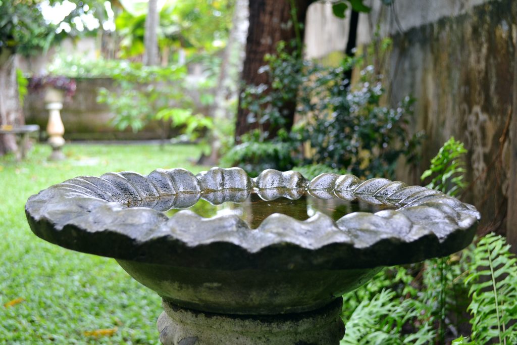 A birdbath sits empty and out in the open in a yard.
