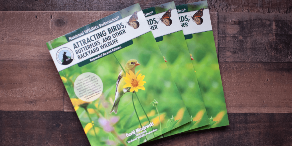 Three copies of the National Wildlife Federation's book on a wood plank background.