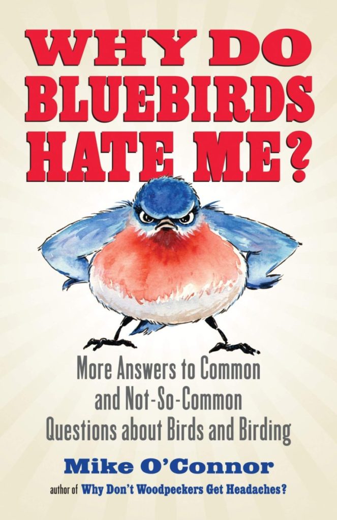 Why Do Bluebirds Hate Me? book cover