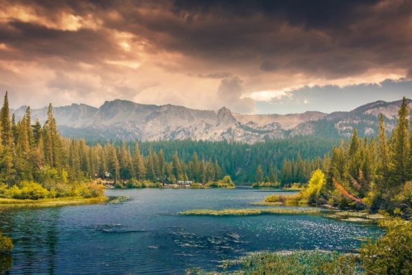 A beautiful nature scene of green forest, blue water, and a painted pink sky framing a lovely mountain range.