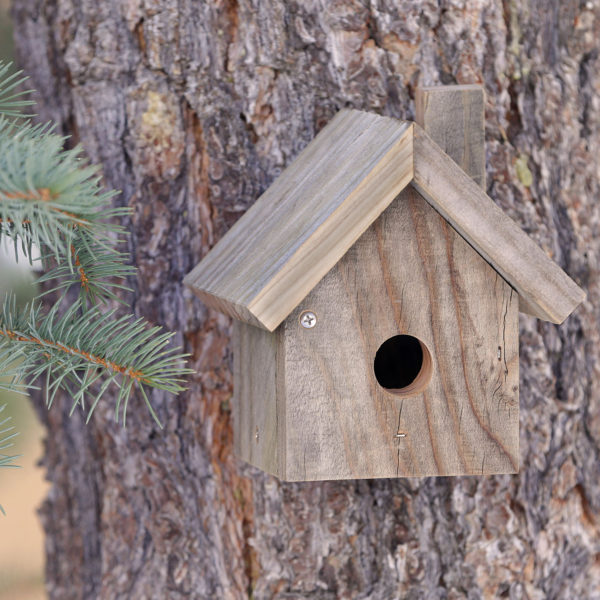 All About Roost Boxes – Chirp Nature Center