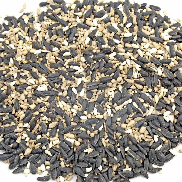 A closeup of Chirp's Big Bear Bear Blend bird seed, which includes black-oil sunflower seeds.