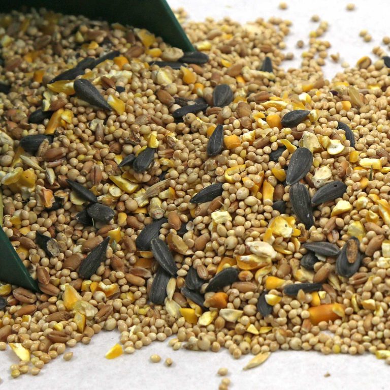 Chirp's Value wild bird seed mix.