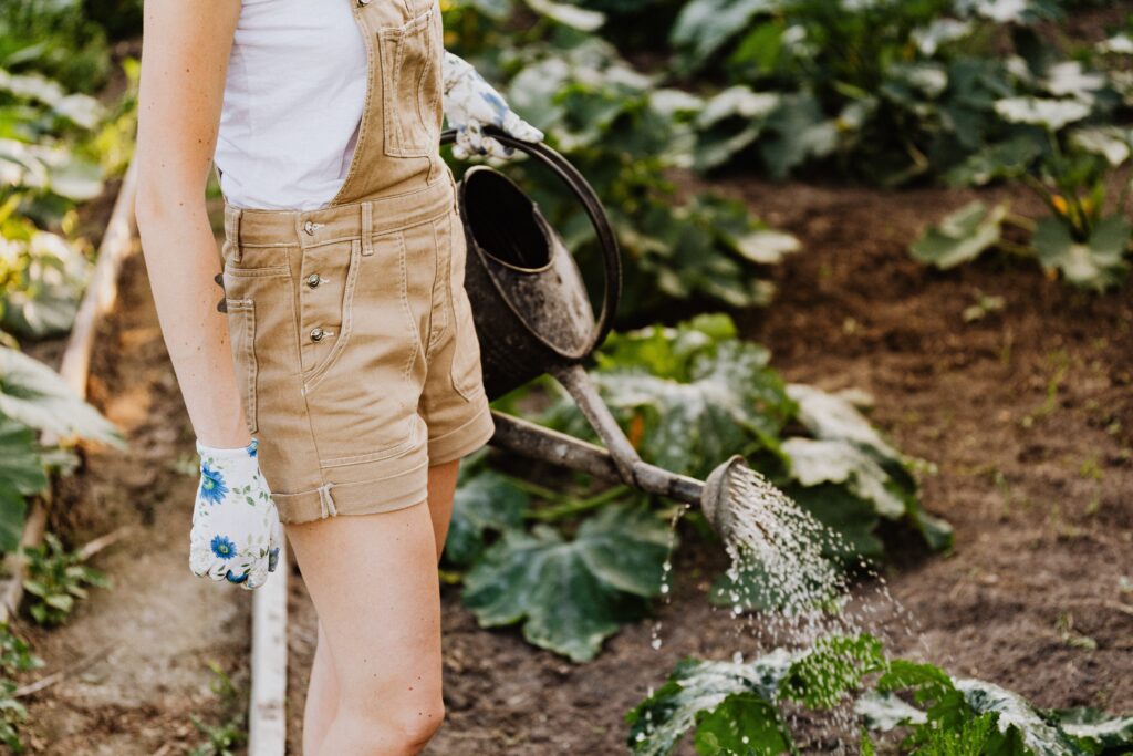 A young woman in short overalls waters  plants with a watering can. 