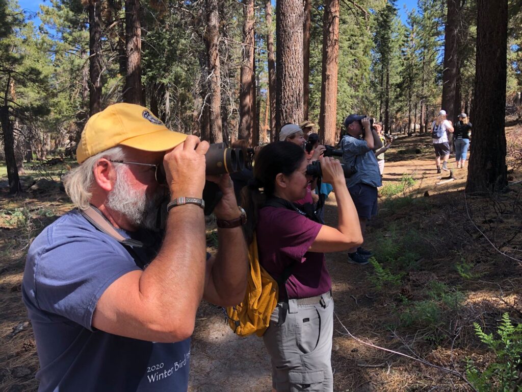 Birdwatchers on a live Chirp Bird Walk. Join us for one--in person or virtually!