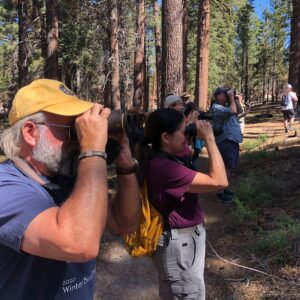 August Wild Bird Walk