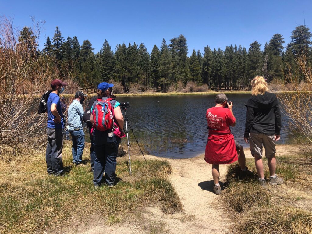 A group of birders gather at Bluff Lake for one of our Bird Walks. Join us for our next one, live or virtually!
