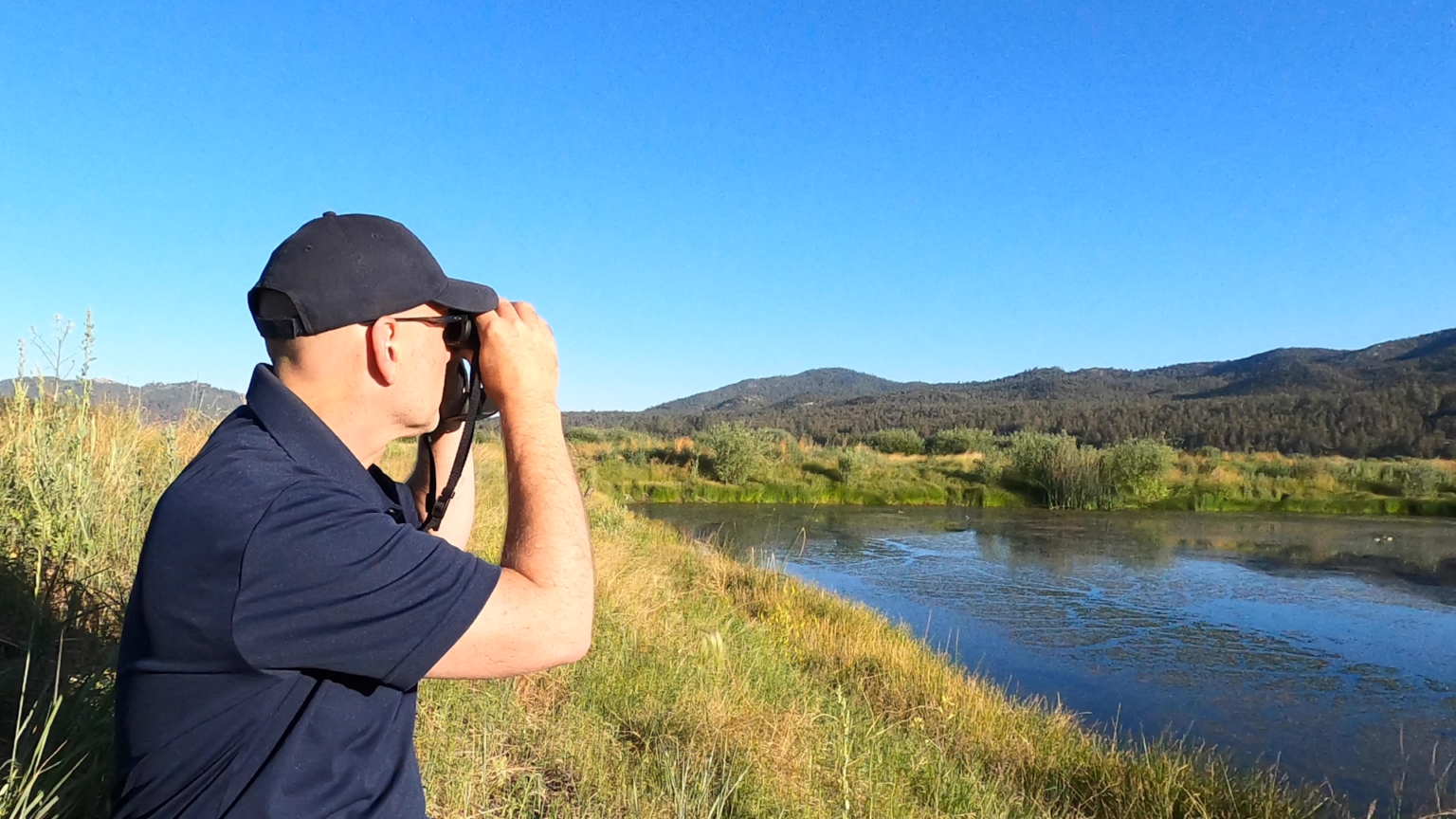 Where To Go Bird Watching In Big Bear Lake – Chirp Nature Center