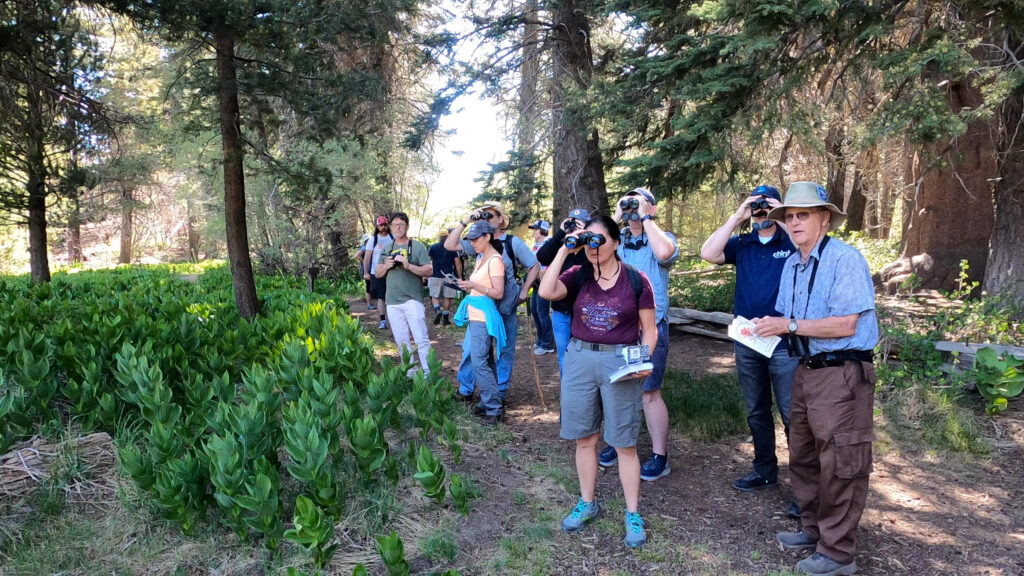 Birders using binoculars along the trail