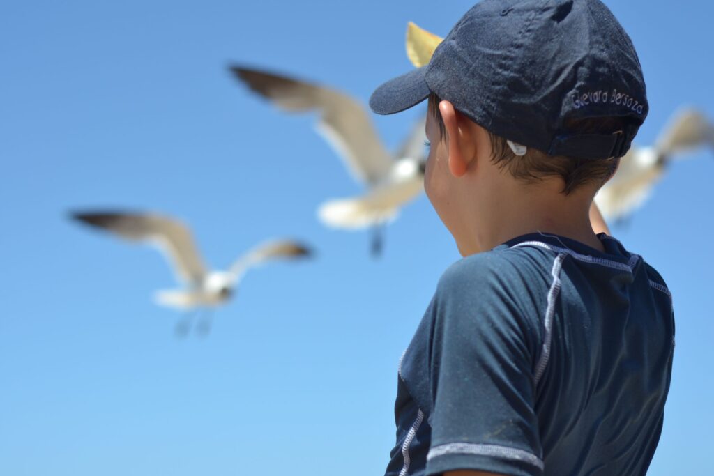 A young boy in a baseball cap looks skyward as a flock of seagulls pass by overhead in the clear blue.