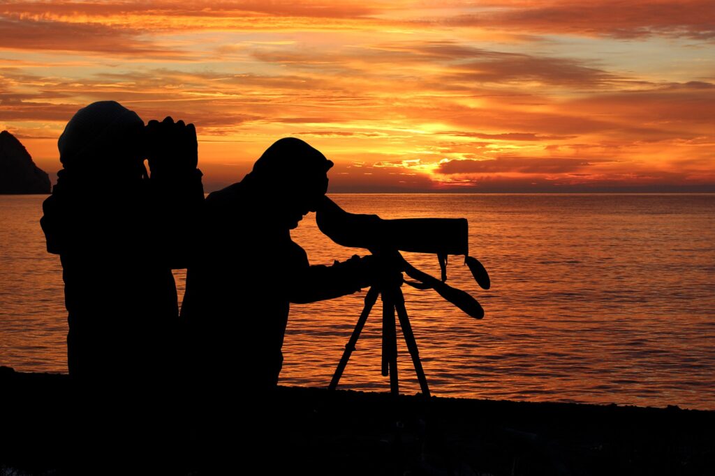 Two people are shown in silhouette, backed by a sunlit sky, peering at birds through binoculars and a scope.