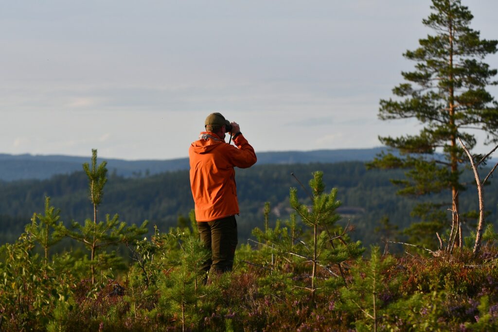 A man looks through binoculars across a tree-lined landscape.