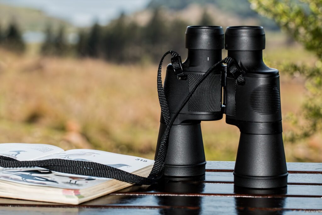 Birdwatching gear: a pair of binoculars and an illustrated field guide sites on an outdoor table, with a field in the background.
