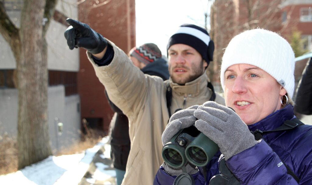 A team of three birdwatchers scope out birds in a snowy landscape.