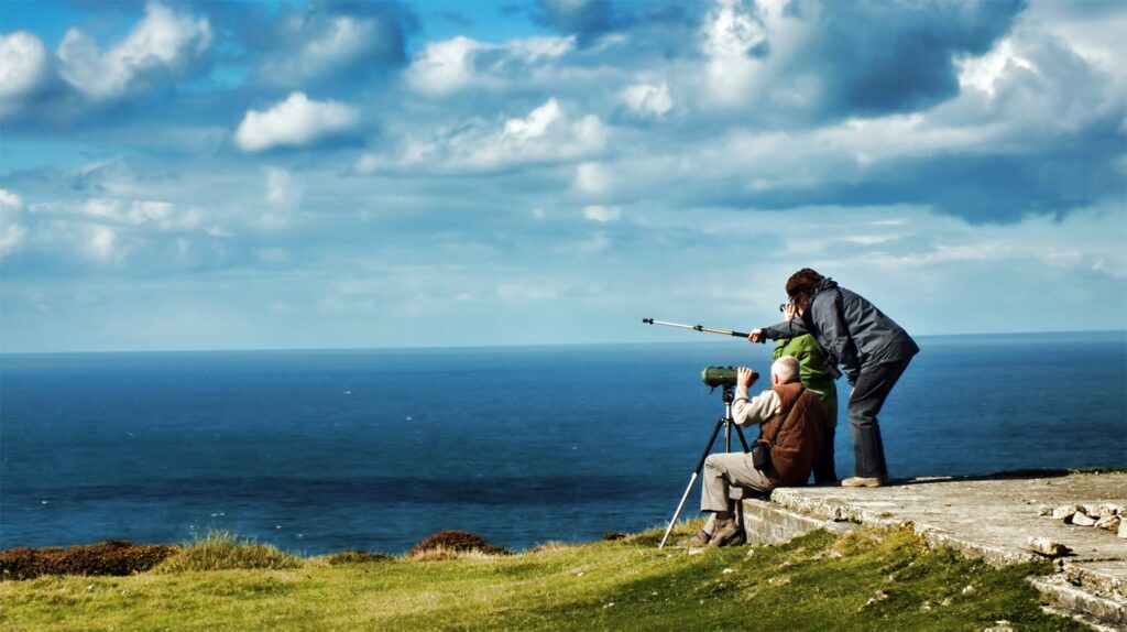 Three people birdwatching off of a sea cliff, with a blue, clouded sky and ocean in the background.