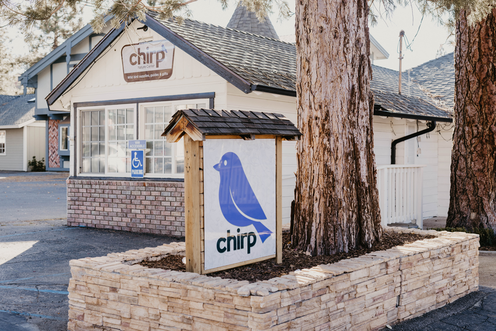 front of chirp's new shop