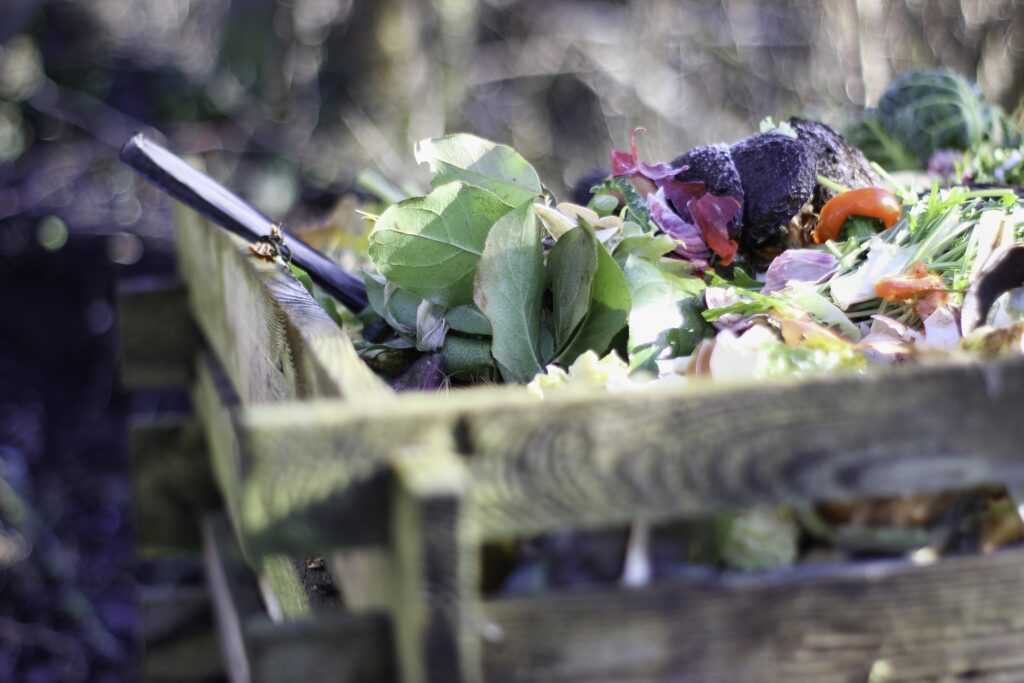 A heap of composted kitchen scraps for adding to your garden.