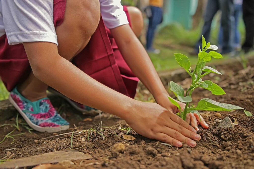 A young girl plants a plant in the ground.