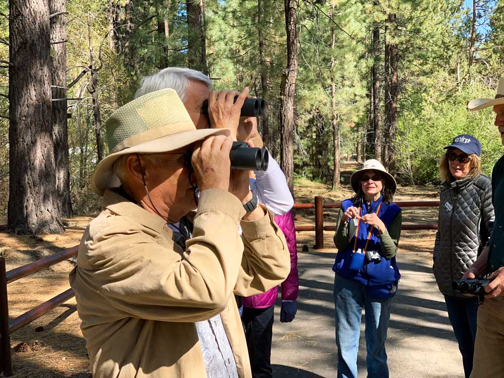 A group of Chirp birdwatchers gather in Big Bear Valley to take in the sights, including rare bird species.