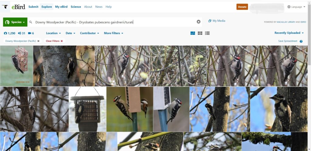 You can use eBird to search photos of birds, and add your own to the database.