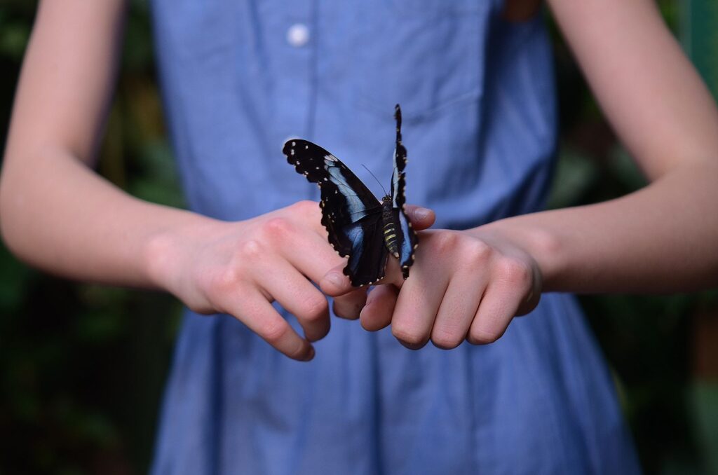 A young girl carefully observes the butterfly that's landed on her finger.