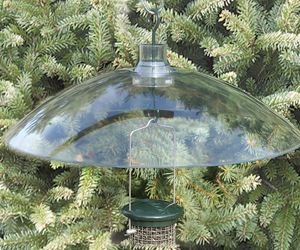 16" Clear Squirrel Baffle, available at the Chirp store. 