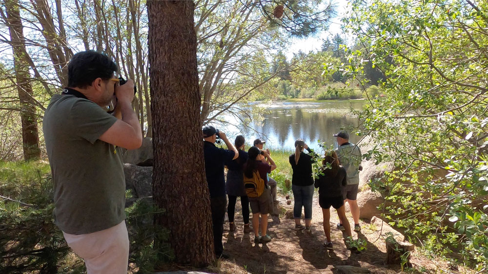 A group of nature lovers and bird watchers on a guided Chirp bird walk. Join us for the next one!