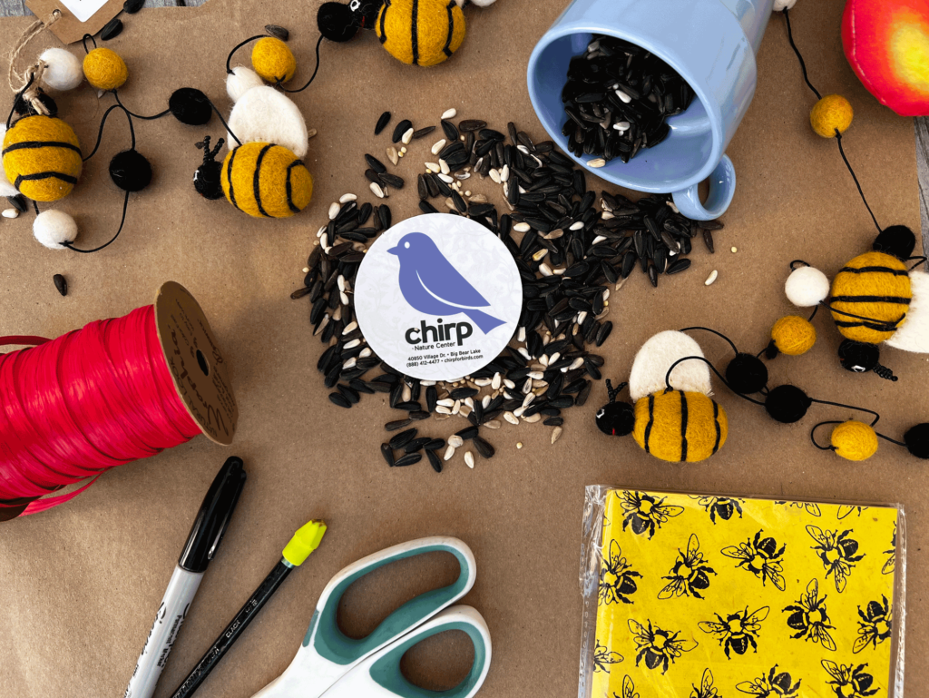 Fun arts and crafts projects are just some of the summer activities Chirp has planned!