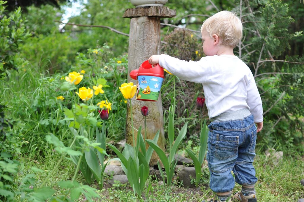 A toddler waters yellow flowers with his watering can.