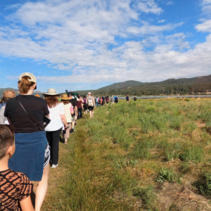 June Wild Bird Walk
