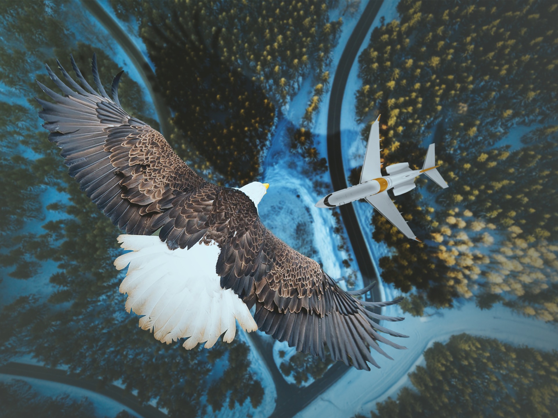 An eagle flies over a plane and a snowy forest.