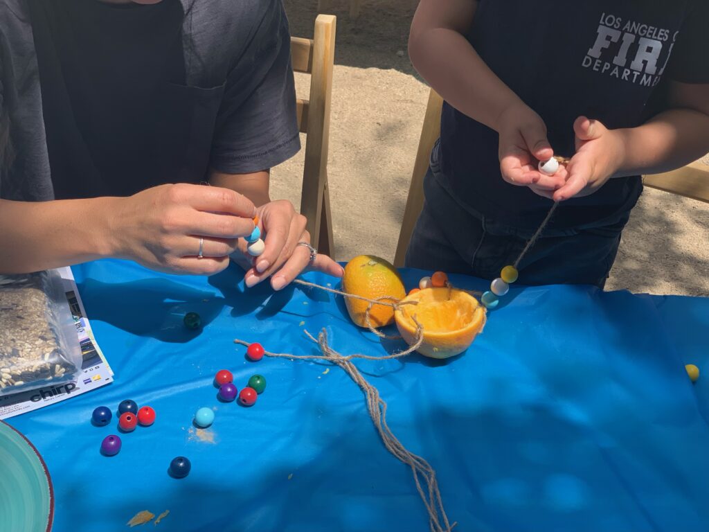 Two hands making a feeder from oranges