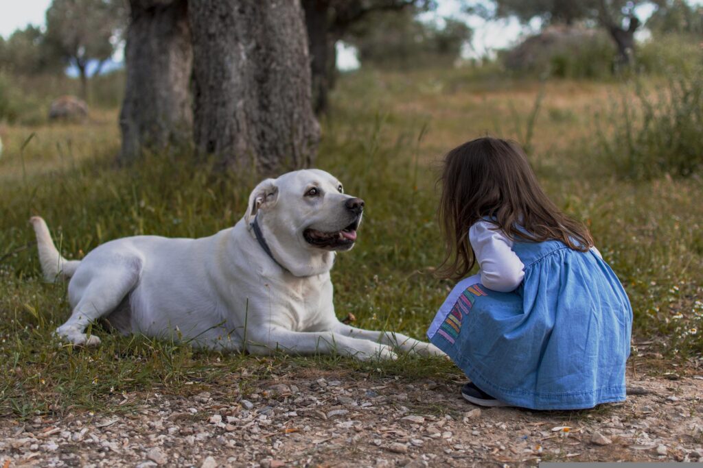 A little girl plays with her dog outside.
