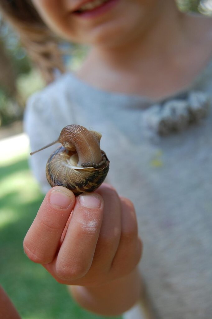 A little girl holds a snail in her hand.